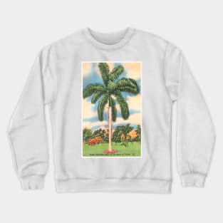 Florida Tropics postcard Crewneck Sweatshirt